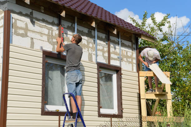 Professional Siding in Chaffee, MO